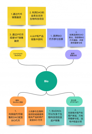 DeSci需要回归价值还是追逐Meme？ 岔路口前，应向左还是向右？