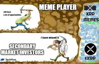 RP涨幅惊人，瑞波生态内的热点Meme币更值得关注（附参与教程）